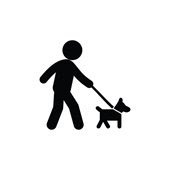 Walking a Dog