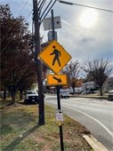 Pedestrian Safety 